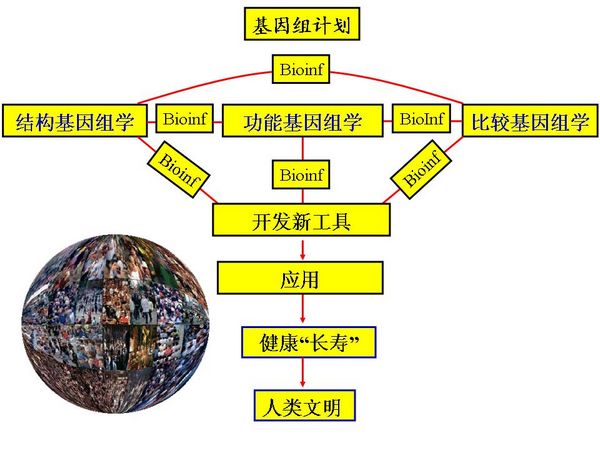 新一代基因（DNA）测序技术与应用进展4.jpg