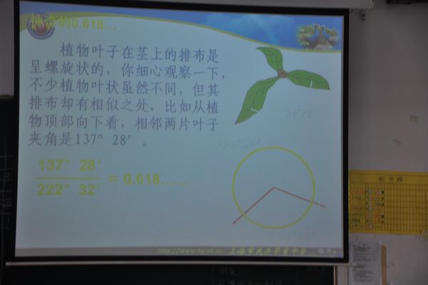 数学就这么有趣2.jpg