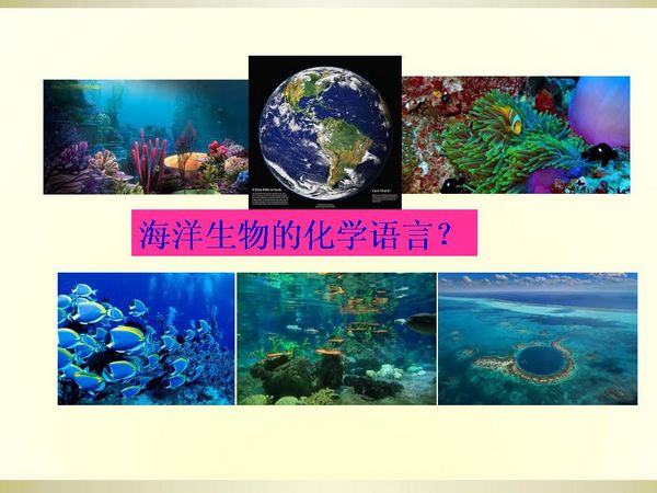 生物信息传递的化学语言3.jpg